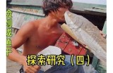 探索最受欢迎的免费视频分享平台，海量精彩内容随心观看！
