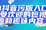 《91抖音污版入口：探索最受欢迎的短视频资源和趣味内容》