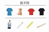 探寻在线视频的多样性与魅力，享受安全合规的观影体验