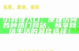《91最新入口及使用指南，安全畅享视频体验》