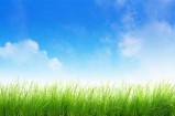探索新鲜草地的美丽与魅力，感受自然的亲密接触。