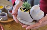 推荐观看精彩的牛牛游戏视频，尽享无限乐趣与刺激体验！