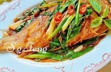 黄鱼美食制作教程：轻松学会美味黄鱼的家常做法！