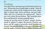 探索和分享优质草坪护理与养护技巧的视频资源