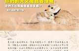 "探索91dd俱乐部的无限可能，畅享多彩社交体验"