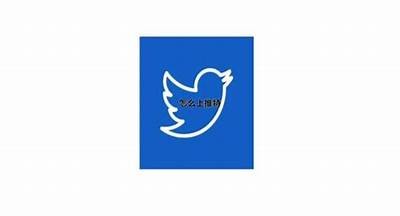 如何访问91推特官网及安全使用指南