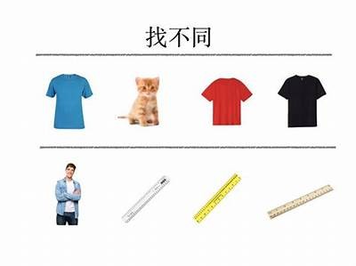 探寻在线视频的多样性与魅力，享受安全合规的观影体验