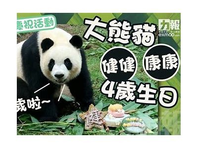 安全健康的成人娱乐视频，带给您全新的观看体验与乐趣