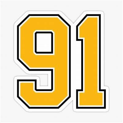 2021年91入口的最新发展与影响分析