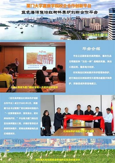 探索内容创作与共享平台的创新发展与潜力分析