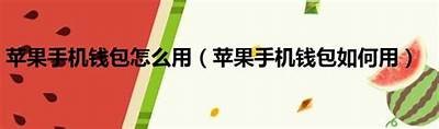 91有钱花苹果设备的使用指南及入口说明