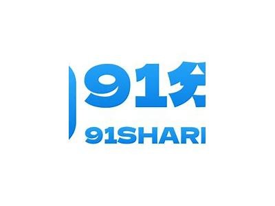 91轻量版官方网站入口，快速下载与安装服务指南