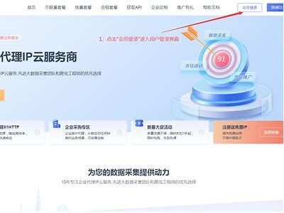 安全访问91内部系统的在线入口指南与使用说明