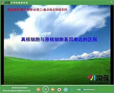 探索91淘课平台的全新学习入口，开启您的在线学习之旅！