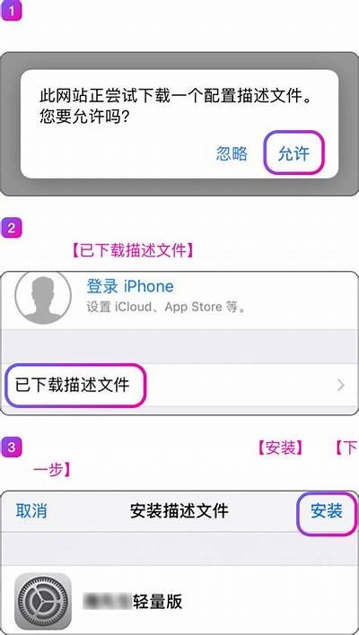寻找91视频的入口和使用指南，轻松畅享精彩视频内容。