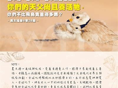 "探索91dd俱乐部的无限可能，畅享多彩社交体验"