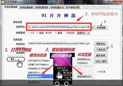 安全可靠的91永久入口访问路径与指南分享