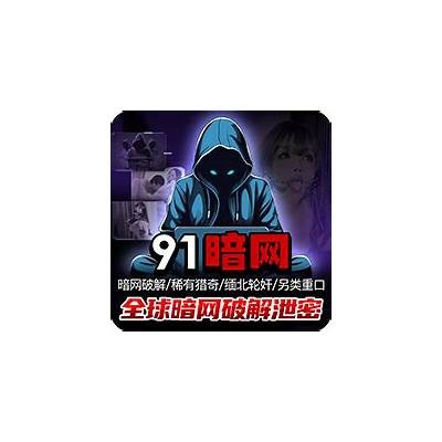安全访问91网站的稳定入口及其永久链接分享