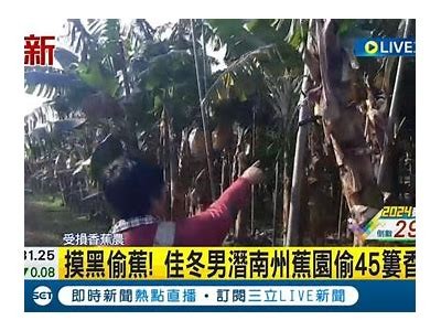 91香蕉应用的隐秘功能入口及使用指南解析