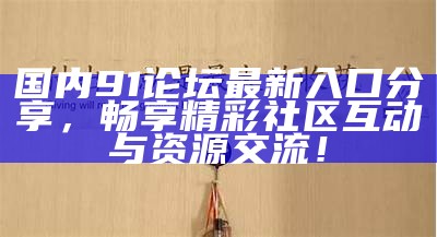 91社区最新入口位置及访问指南详解