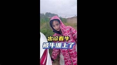 观看多样化的牛牛游戏视频，畅享精彩娱乐体验！