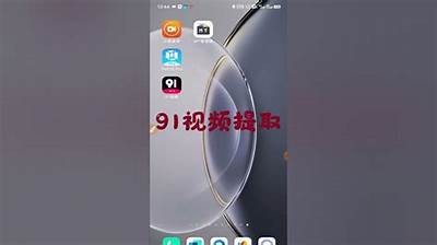 "91新入口的使用指南，解答您所有的疑问"