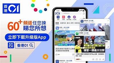 "探索91金银花APP，畅享生活中的便捷与乐趣"